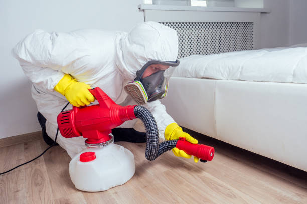 Best Bed Bug Extermination  in Thatcher, AZ